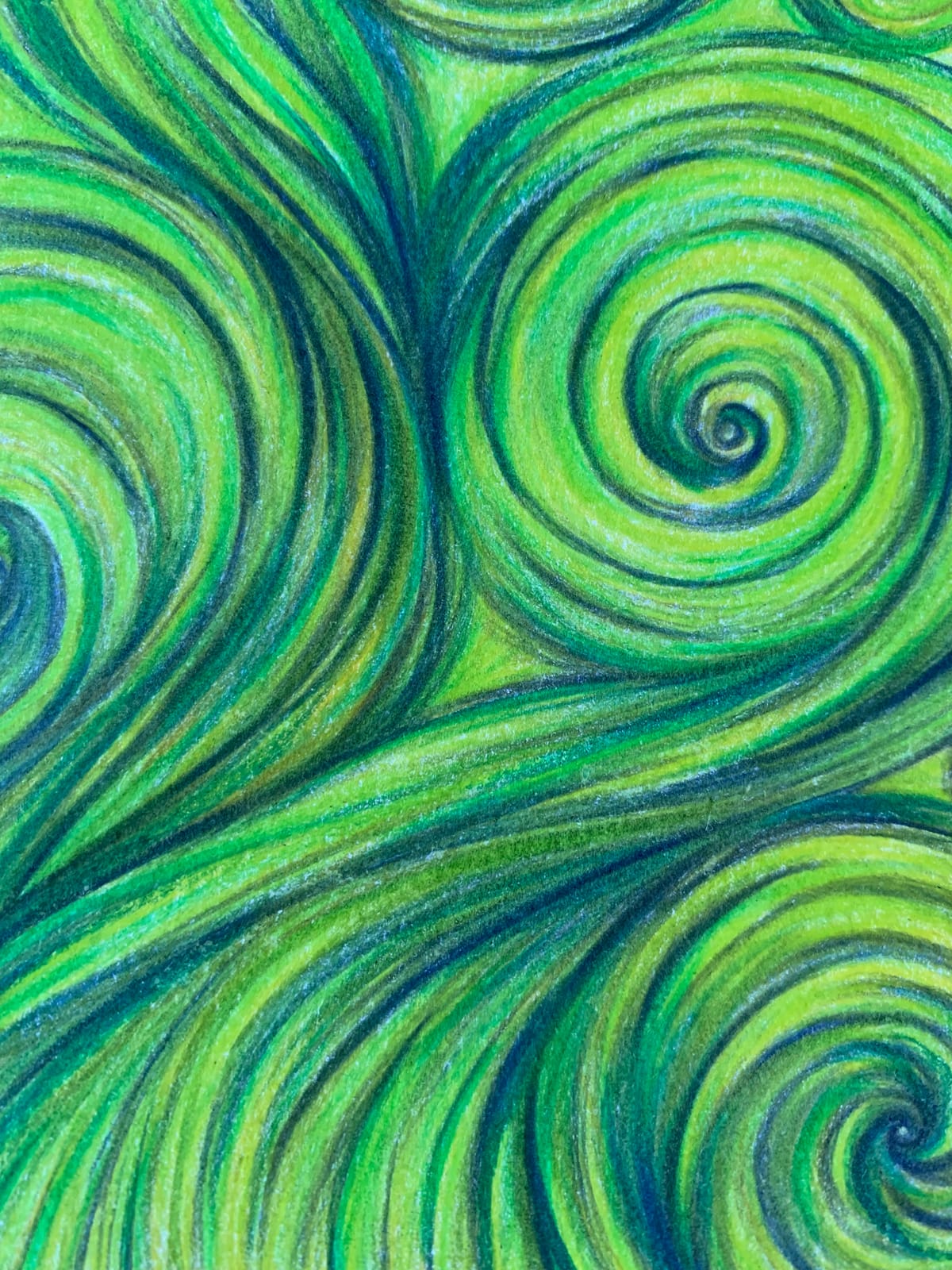 Colored Pencil Appreciator